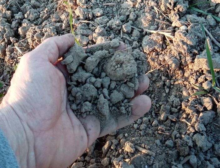 I danni della siccità in provincia di Varese: 8 milioni e 200mila euro le perdite registrate da 485 aziende agricole