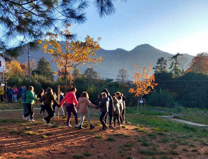 Alla scuola primaria di Porto Valtravaglia piantumato un albero di noce americano