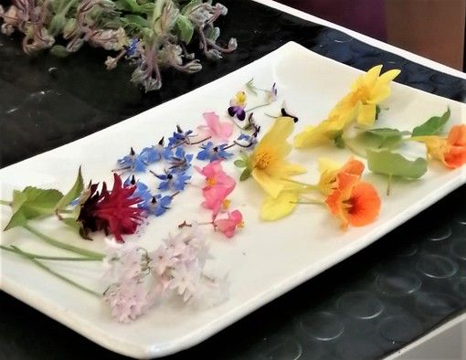 'Mangiare i Fiori' una cena di Gala esclusiva sabato 9 aprile a Alassio. Prenotazioni aperte!