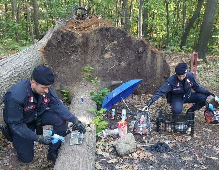 Foto da IlSaronno.it Foto da IlSaronno.it