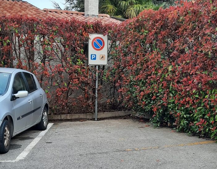 Fratelli d'Italia: «Comune di Albizzate poco attento nei confronti degli utenti con disabilità» Fratelli d'Italia: «Comune di Albizzate poco attento nei confronti degli utenti con disabilità»