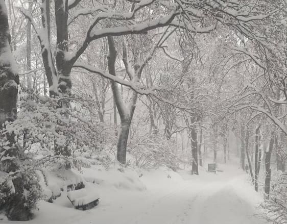 FOTO. Campo dei Fiori sommerso dalla neve: le immagini dalla vetta sono pura magia FOTO. Campo dei Fiori sommerso dalla neve: le immagini dalla vetta sono pura magia