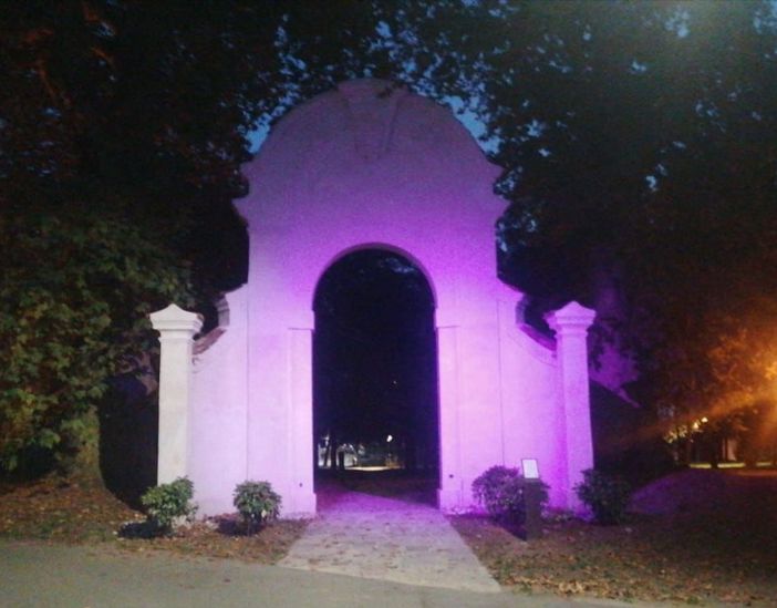 L'arco dei Platani in viola per la Giornata mondiale dell’epilessia