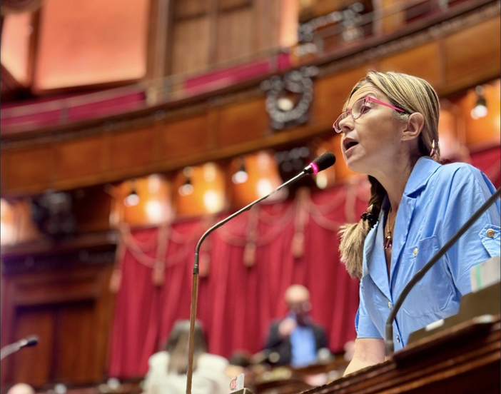 Frontalieri, Gadda e Borghi (Iv): «La destra si è trasformata nel nuovo sceriffo di Nottingham» Frontalieri, Gadda e Borghi (Iv): «La destra si è trasformata nel nuovo sceriffo di Nottingham»