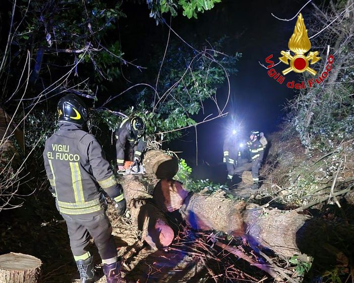 Vento forte su tutta la provincia: alberi caduti a Cadrezzate Vento forte su tutta la provincia: alberi caduti a Cadrezzate