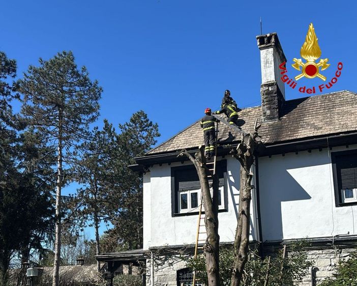 Brucia la canna fumaria, vigili del fuoco in azione a Casorate Sempione Brucia la canna fumaria, vigili del fuoco in azione a Casorate Sempione