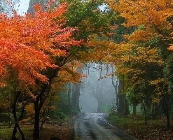 La splendida foto postata dalla pagina Facebook NaturalMeteo per salutare l'inizio dell'autunno