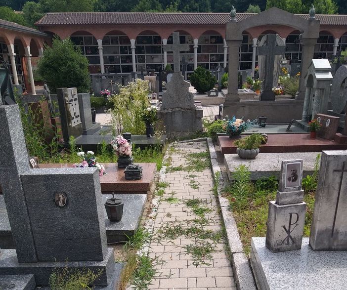 FOTO. Azzate, cimitero sommerso dalle erbacce: «Due mesi senza manutenzione»
