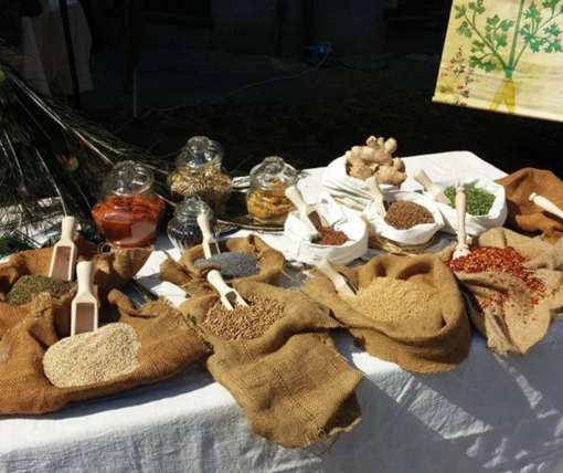 A tavola nel Medioevo: piatti, storia e curiosità ad "Arti e Mercanti" di Asti (VIDEO)