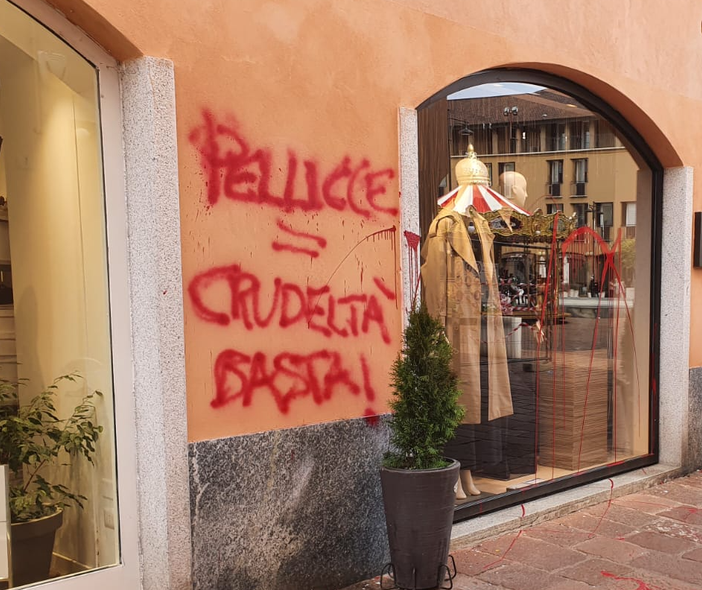 «Pellicce uguale crudeltà. Basta!». Vandali imbrattano negozio in pieno centro «Pellicce uguale crudeltà. Basta!». Vandali imbrattano negozio in pieno centro
