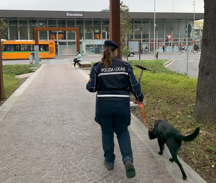 La Polizia locale con Zorro - foto d'archivio La Polizia locale con Zorro - foto d'archivio