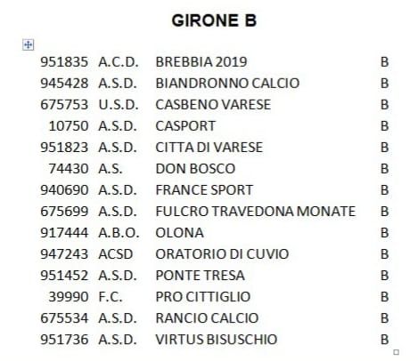 Il Città di Varese: «E' il nostro anno zero, ecco tutti i prossimi passi» Il Città di Varese: «E' il nostro anno zero, ecco tutti i prossimi passi»