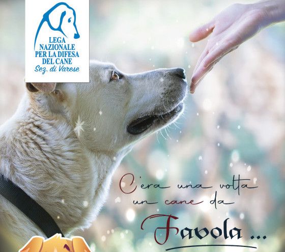 “Un anno da favola” per aiutare il Canile di Varese “Un anno da favola” per aiutare il Canile di Varese