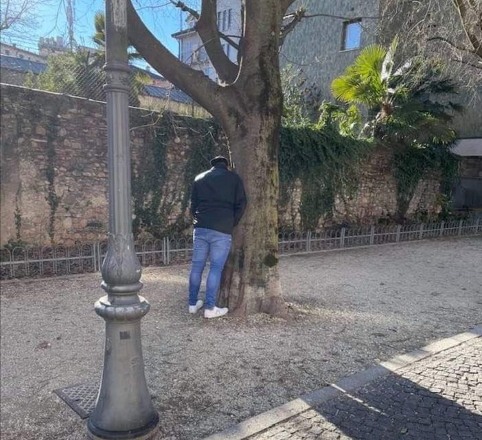 Ore 14, pieno centro di Varese: se scappa, scappa... e così un uomo si "libera" di un peso nel viale alberato di via Dandolo