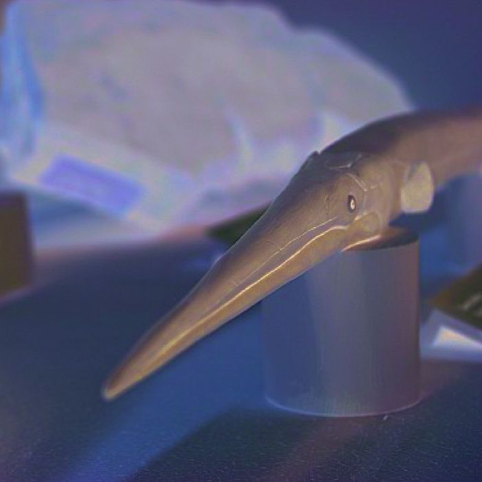 Arcisate, Viggiù, Besano e Cremenaga palcoscenici di nuove storie Arcisate, Viggiù, Besano e Cremenaga palcoscenici di nuove storie