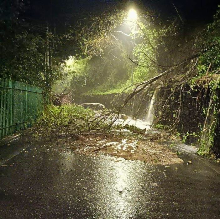 I danni a Bregazzana I danni a Bregazzana