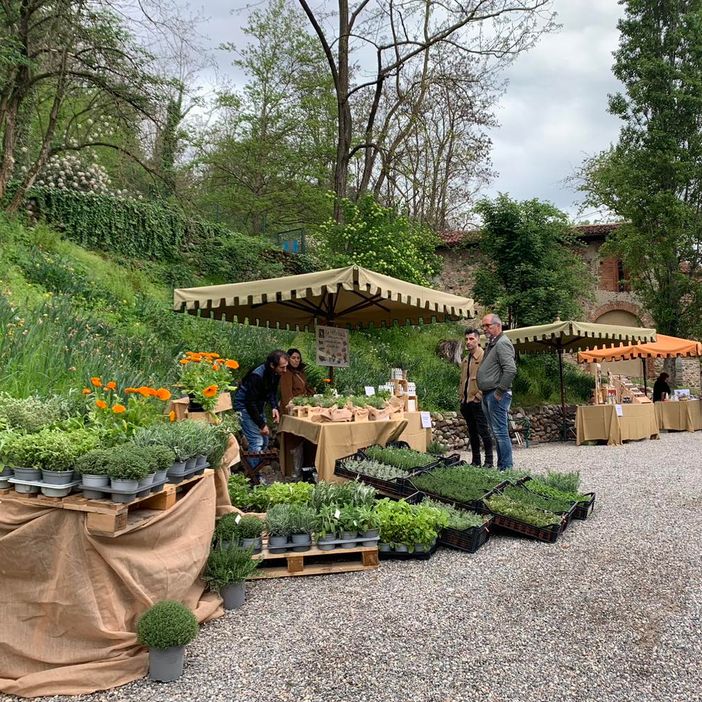 Fai: sabato 18 e domenica 19 torna Herbarium al Monastero di Torba Fai: sabato 18 e domenica 19 torna Herbarium al Monastero di Torba