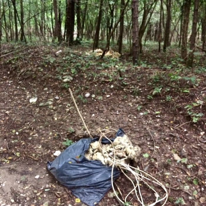 FOTO. I rifiuti edili abbandonati da tre mesi nel bosco tra Monvalle e Leggiuno