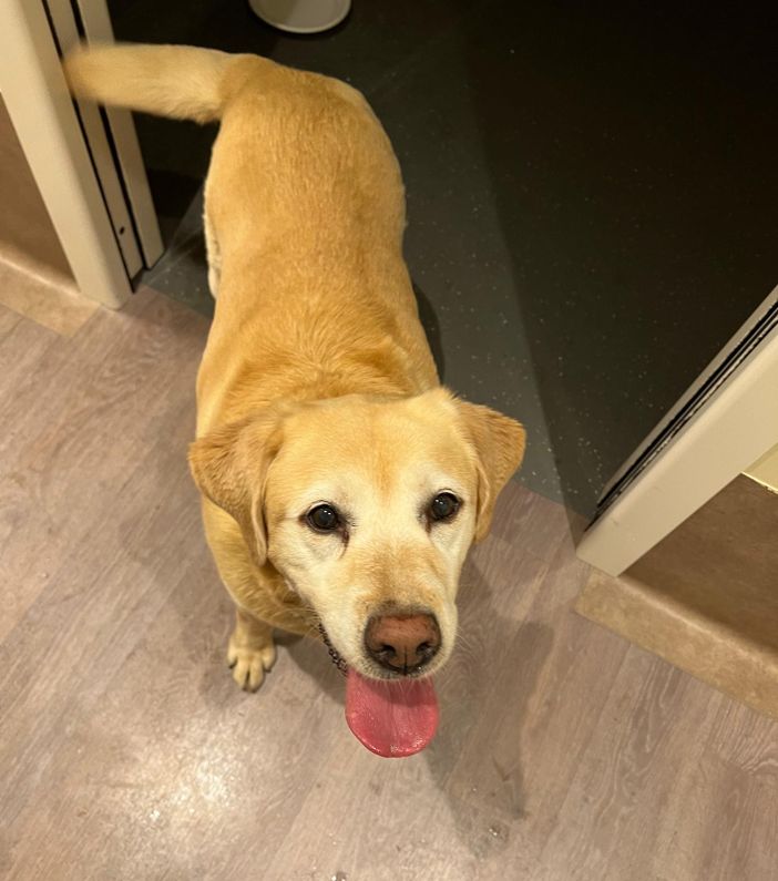 La storia di Luigi e Maia: un ri(incontro) speciale, per abbracciare la vita