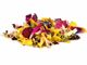 "L'arte di cucinare con i fiori: bellezza e sapori in tavola" "L'arte di cucinare con i fiori: bellezza e sapori in tavola"