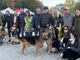 VIDEO. Con un... ululato in marcia quasi 150 cani con le loro famiglie VIDEO. Con un... ululato in marcia quasi 150 cani con le loro famiglie