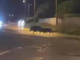 Alcuni fotogrammi del video per cortesia di Vinicio Provasi