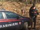 Spaccio nella &quot;rete verde&quot; dei boschi di Cugliate Fabiasco: due uomini arrestati dai carabinieri