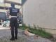 Golden Retriever si sente male per il gran caldo, soccorso in centro da passanti e polizia locale