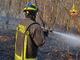 Ancora un incendio nei boschi: vigili del fuoco a Samarate. FOTO