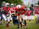 I Gorillas Varese a Segrate per l’ultima trasferta della regular season: domenica sfida cruciale contro i Rams Milano