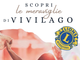 Un fine settimana di sport, divertimento e solidarietà con "Vivilago 2025" alla Schiranna Un fine settimana di sport, divertimento e solidarietà con "Vivilago 2025" alla Schiranna