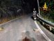 Frana nella notte sulla Statale 659 a Crodo: auto colpita dai detriti