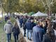 Torna da domenica 5 ottobre la Festa della Zucca di Gavirate Torna da domenica 5 ottobre la Festa della Zucca di Gavirate