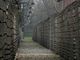 «Ministra Roccella, quelle ad Auschwitz non erano "gite". Spero voglia chiedere scusa alle mamme che non hanno rivisto i propri figli inceneriti»