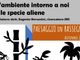 Le specie "aliene" protagoniste di un incontro pubblico a Ispra Le specie "aliene" protagoniste di un incontro pubblico a Ispra