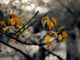 Profumo d'autunno con nuvole e pioggia. Weekend coperto Profumo d'autunno con nuvole e pioggia. Weekend coperto
