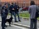 Ancora controlli anti droga nelle scuole: in azione il "cane poliziotto" Zorro Ancora controlli anti droga nelle scuole: in azione il "cane poliziotto" Zorro