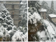 Nevicata in corso al Sacro Monte Nevicata in corso al Sacro Monte