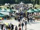 Agrivarese 2026 : una domenica di nuove scoperte anche per i più piccoli Agrivarese 2026 : una domenica di nuove scoperte anche per i più piccoli