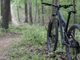LA LETTERA. «Che fastidio danno quattro ragazzini in mountain bike nei boschi?»