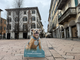 Nasce “Musi di Varese”, il primo calendario della città dedicato a cani e padroni