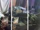 Le impressionanti immagini dei danni causati dall'auto che ha sfondato la recinzione e distrutto il cortile della casa affacciata su via XXV Aprile a Besozzo (foto tratta dal video dei proprietari pubblicato sulla pagina Facebook Sei di Besozzo se)