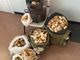 Fermati alla dogana di Ligornetto con 30 chili di funghi, nei guai due italiani Fermati alla dogana di Ligornetto con 30 chili di funghi, nei guai due italiani