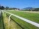Domenica all'ippodromo il 75° Gran Premio Città di Varese