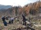 Due progetti per far rivivere il vecchio Campo dei Fiori devastato da incendi e tempeste