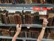 Al Kapannone di Angera torna la caccia al tesoro tra i libri