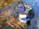 La posa dei nidi di trota artificiali dei volontari dell'associazione pescatori Alto Verbano