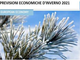 Previsioni economiche d'inverno 2021: nonostante un inverno irto di difficoltà, si intravede una luce in fondo al tunnel