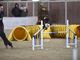 Easy-Peasy e Denis: un binomio tutto varesino per i campionati mondiali di Agility Dog