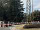 Albero cade sulla linea elettrica alla rotonda dell'Esselunga di Masnago